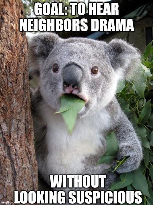 Surprised Koala |  GOAL: TO HEAR NEIGHBORS DRAMA; WITHOUT LOOKING SUSPICIOUS | image tagged in memes,surprised koala | made w/ Imgflip meme maker