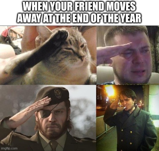 froggggg | WHEN YOUR FRIEND MOVES AWAY AT THE END OF THE YEAR | image tagged in ozon's salute | made w/ Imgflip meme maker