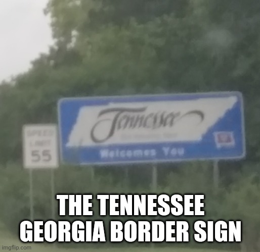 Picture was self taken, and I apologize for the blurriness, I was traveling at 70 miles an hour | THE TENNESSEE GEORGIA BORDER SIGN | image tagged in tennessee,sign | made w/ Imgflip meme maker