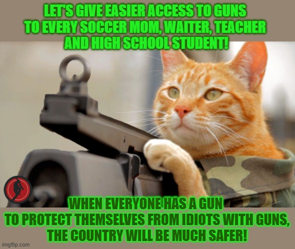 Let's give every idiot a gun to protect themselves from idiots with guns! | LET'S GIVE EASIER ACCESS TO GUNS 
TO EVERY SOCCER MOM, WAITER, TEACHER 
AND HIGH SCHOOL STUDENT! WHEN EVERYONE HAS A GUN 
TO PROTECT THEMSELVES FROM IDIOTS WITH GUNS,
THE COUNTRY WILL BE MUCH SAFER! | image tagged in lolcat,guncontrol,gunsense,think about it,ironic | made w/ Imgflip meme maker
