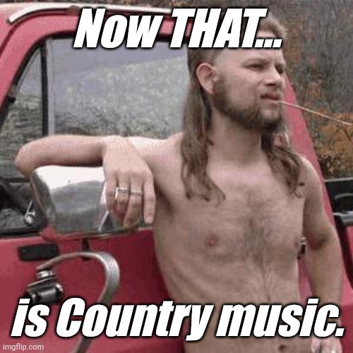 almost redneck | Now THAT... is Country music. | image tagged in almost redneck | made w/ Imgflip meme maker