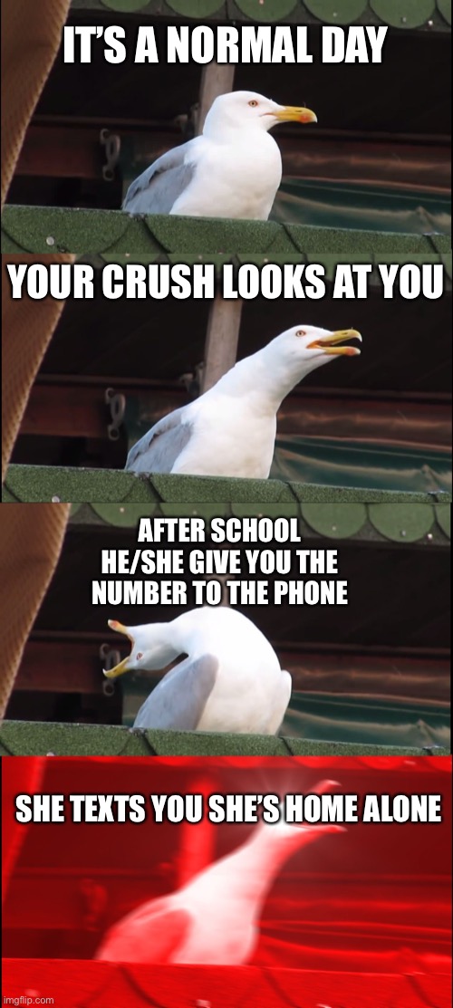 Only in your dreams :( | IT’S A NORMAL DAY; YOUR CRUSH LOOKS AT YOU; AFTER SCHOOL HE/SHE GIVE YOU THE NUMBER TO THE PHONE; SHE TEXTS YOU SHE’S HOME ALONE | image tagged in memes,inhaling seagull | made w/ Imgflip meme maker