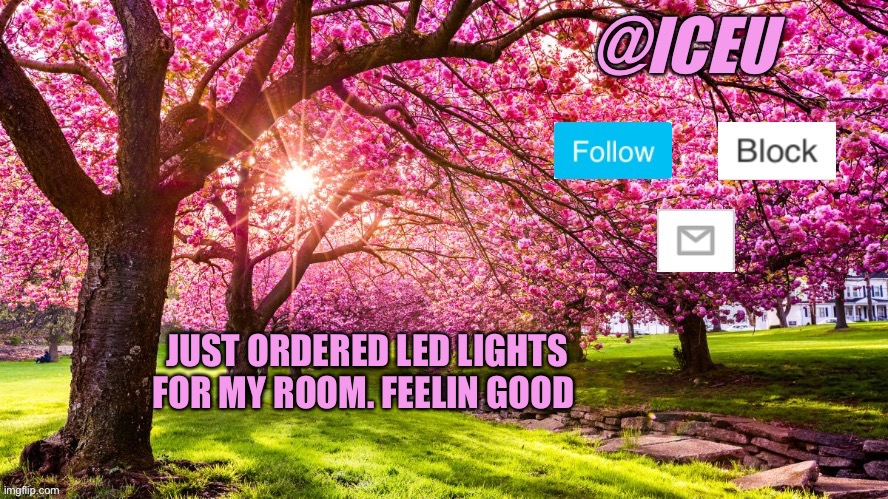 They’re supposed to come on the 30th | JUST ORDERED LED LIGHTS FOR MY ROOM. FEELIN GOOD | image tagged in iceu spring template | made w/ Imgflip meme maker