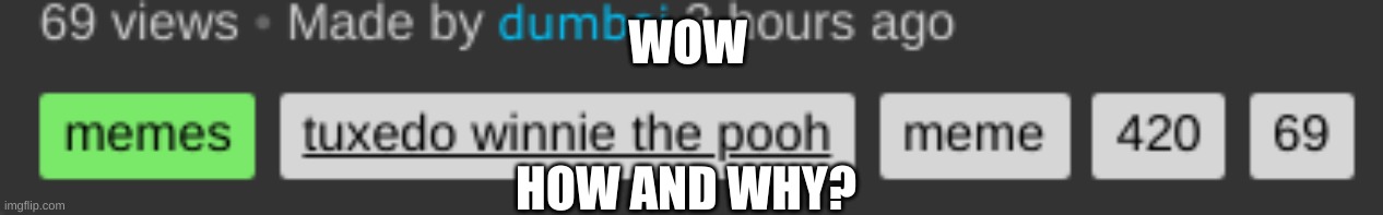 69 | WOW; HOW AND WHY? | image tagged in 69,views,why | made w/ Imgflip meme maker