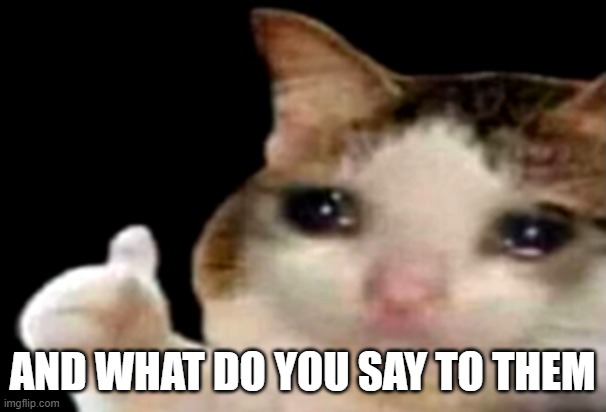 Sad cat thumbs up | AND WHAT DO YOU SAY TO THEM | image tagged in sad cat thumbs up | made w/ Imgflip meme maker