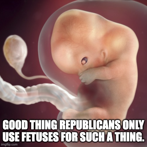 GOOD THING REPUBLICANS ONLY USE FETUSES FOR SUCH A THING. | made w/ Imgflip meme maker
