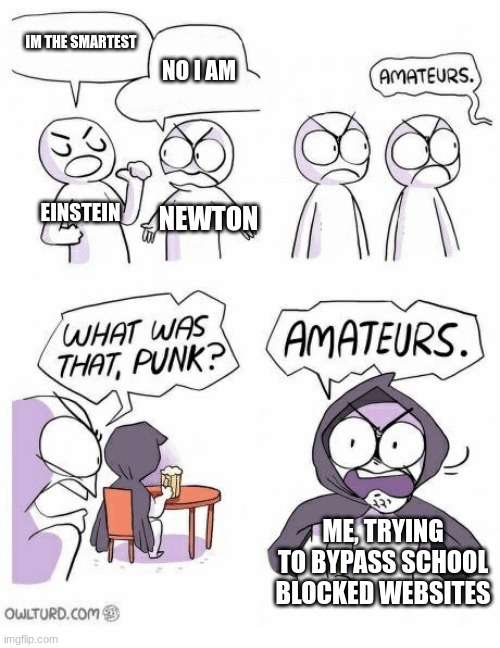 school in a nutshell | IM THE SMARTEST; NO I AM; EINSTEIN; NEWTON; ME, TRYING TO BYPASS SCHOOL BLOCKED WEBSITES | image tagged in amateurs,school,blocked,sometimes my genius is it's almost frightening | made w/ Imgflip meme maker