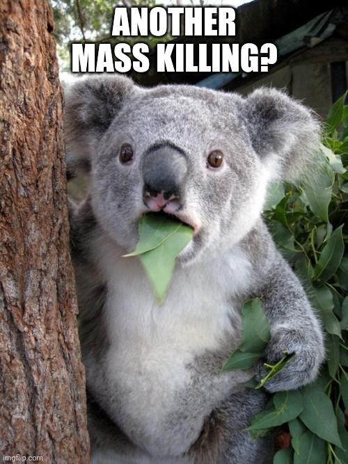 The news get to Australia | ANOTHER MASS KILLING? | image tagged in memes,surprised koala | made w/ Imgflip meme maker