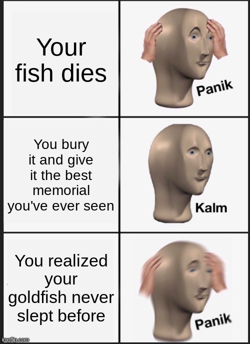 Y'all realize they are just sleeping, right? | Your fish dies; You bury it and give it the best memorial you've ever seen; You realized your goldfish never slept before | image tagged in memes,panik kalm panik | made w/ Imgflip meme maker