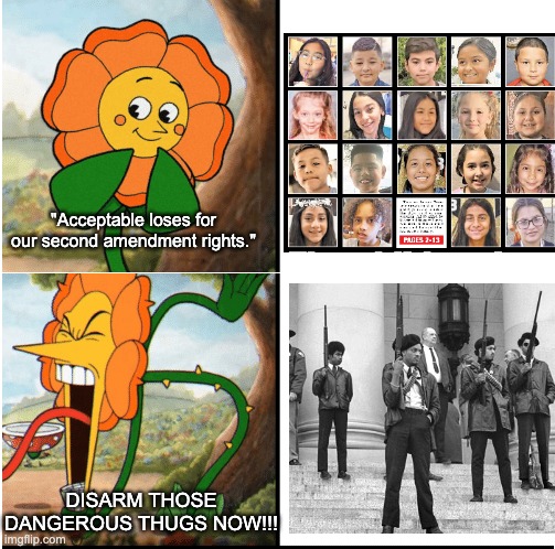 Conservatives don't care about your kids or your right to bare arms. | "Acceptable loses for our second amendment rights."; DISARM THOSE DANGEROUS THUGS NOW!!! | image tagged in flower cuphead,2nd amendment,gun control,school shooting,black panthers | made w/ Imgflip meme maker