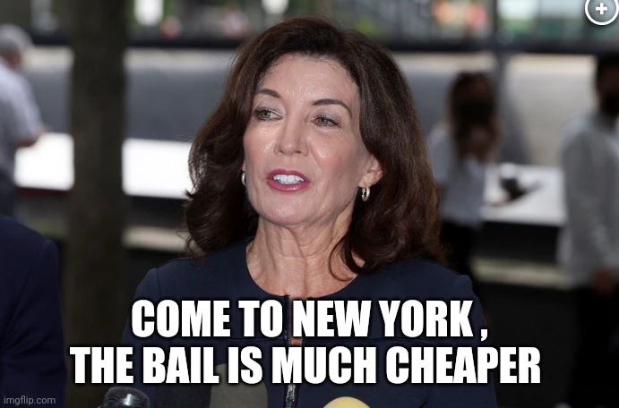 Kathy Hochul, Demon Woman | COME TO NEW YORK , THE BAIL IS MUCH CHEAPER | image tagged in kathy hochul demon woman | made w/ Imgflip meme maker