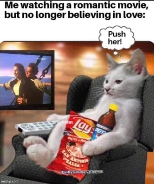 Cat | image tagged in bad advice cat | made w/ Imgflip meme maker