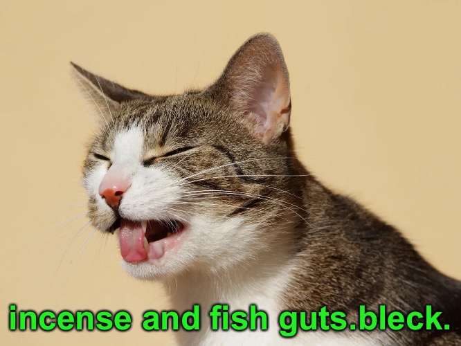 incense and fish guts.bleck. | made w/ Imgflip meme maker