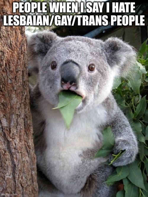 i just hate them.is that a problem? | PEOPLE WHEN I SAY I HATE LESBAIAN/GAY/TRANS PEOPLE | image tagged in memes,surprised koala | made w/ Imgflip meme maker