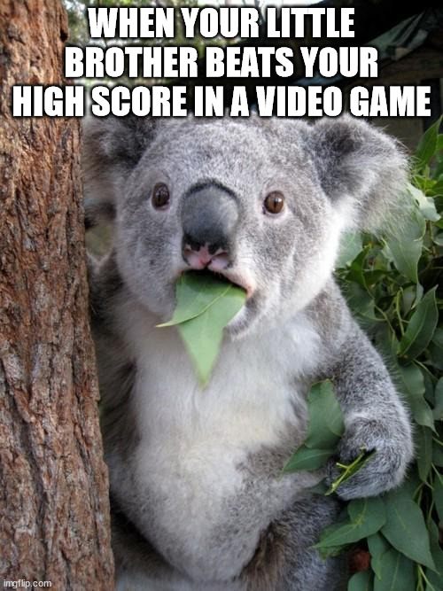 Surprised Koala Meme | WHEN YOUR LITTLE BROTHER BEATS YOUR HIGH SCORE IN A VIDEO GAME | image tagged in memes,surprised koala | made w/ Imgflip meme maker