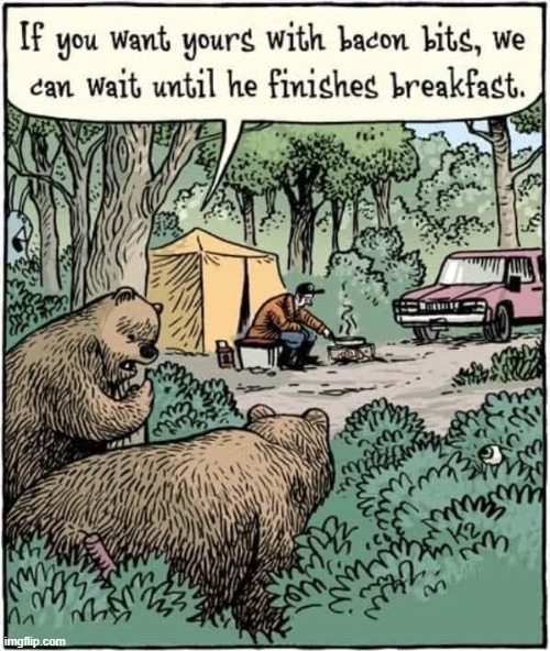 Bear Meals | image tagged in i love bacon | made w/ Imgflip meme maker