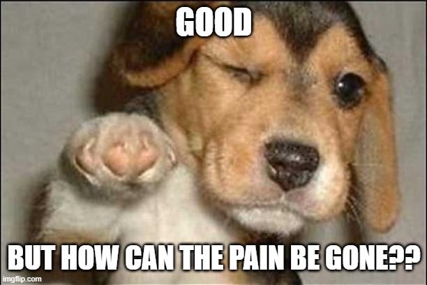good job dog | GOOD BUT HOW CAN THE PAIN BE GONE?? | image tagged in good job dog | made w/ Imgflip meme maker