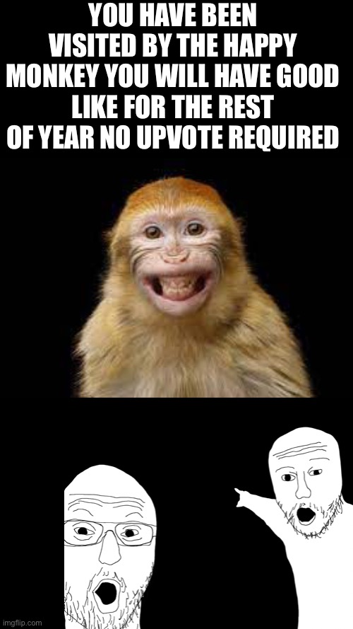 Blank Black | YOU HAVE BEEN VISITED BY THE HAPPY MONKEY YOU WILL HAVE GOOD LIKE FOR THE REST OF YEAR NO UPVOTE REQUIRED | image tagged in blank black | made w/ Imgflip meme maker