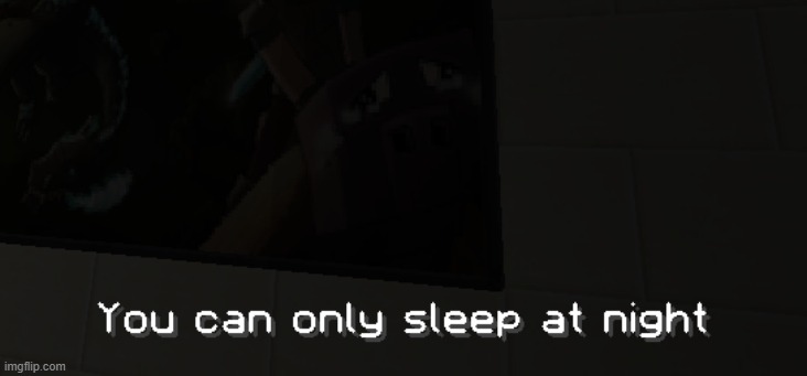 Getting home after working on night shift... | image tagged in sleep,sad,pig,minecraft,screenshot,bed | made w/ Imgflip meme maker