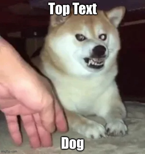 dog | Top Text; Dog | image tagged in dog | made w/ Imgflip meme maker