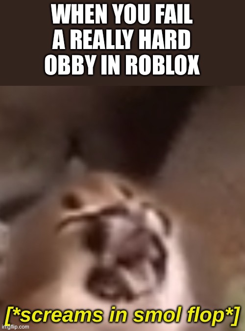 [*screams in smol flop*] | WHEN YOU FAIL A REALLY HARD OBBY IN ROBLOX | image tagged in screams in smol flop,floppa,cats,gaming,roblox | made w/ Imgflip meme maker