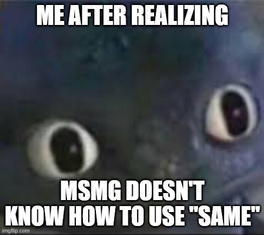 Toothless ._. face | ME AFTER REALIZING; MSMG DOESN'T KNOW HOW TO USE "SAME" | image tagged in toothless _ face | made w/ Imgflip meme maker