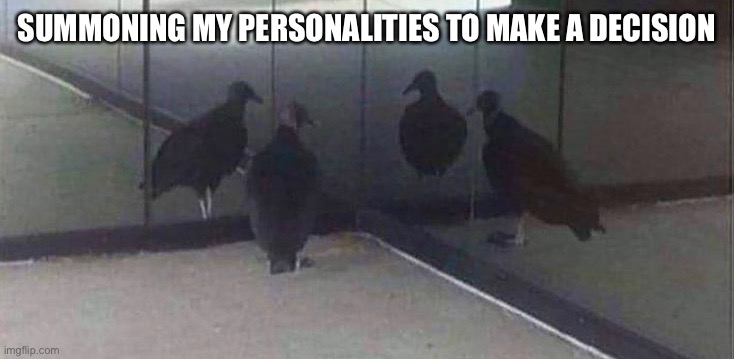 caught in 4k | SUMMONING MY PERSONALITIES TO MAKE A DECISION | image tagged in birds,personality | made w/ Imgflip meme maker