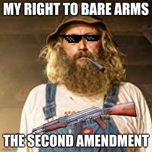 MY RIGHT TO BARE ARMS; THE SECOND AMENDMENT | made w/ Imgflip meme maker