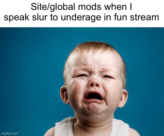 BABY CRYING |  Site/global mods when I speak slur to underage in fun stream | image tagged in baby crying | made w/ Imgflip meme maker