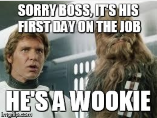 wookie Blank Meme Template