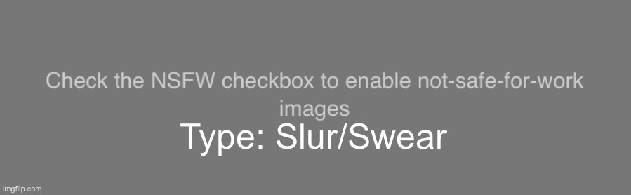 Check the NSFW checkbox to enable not-safe-for-work images | Type: Slur/Swear | image tagged in check the nsfw checkbox to enable not-safe-for-work images | made w/ Imgflip meme maker