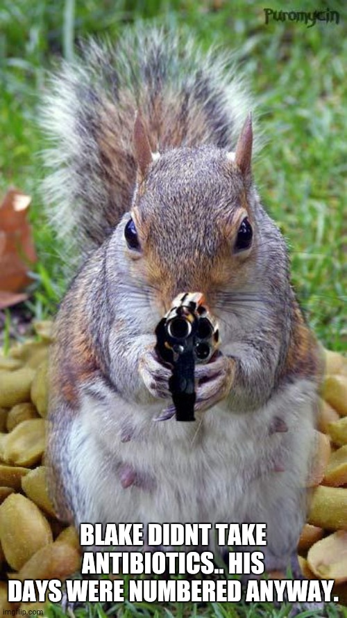 funny squirrels with guns (5) | BLAKE DIDNT TAKE ANTIBIOTICS.. HIS DAYS WERE NUMBERED ANYWAY. | image tagged in funny squirrels with guns 5 | made w/ Imgflip meme maker