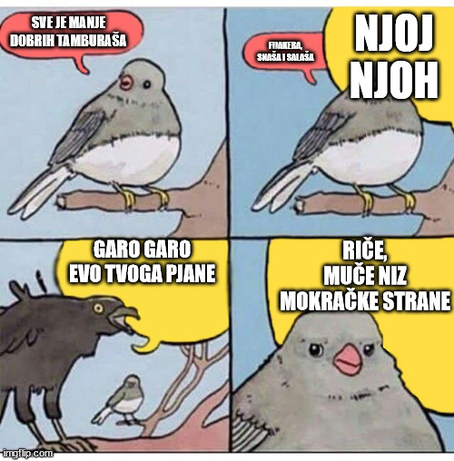 annoyed bird | NJOJ NJOH; SVE JE MANJE DOBRIH TAMBURAŠA; FIJAKERA, SNAŠA I SALAŠA; GARO GARO EVO TVOGA PJANE; RIČE, MUČE NIZ MOKRAČKE STRANE | image tagged in annoyed bird | made w/ Imgflip meme maker