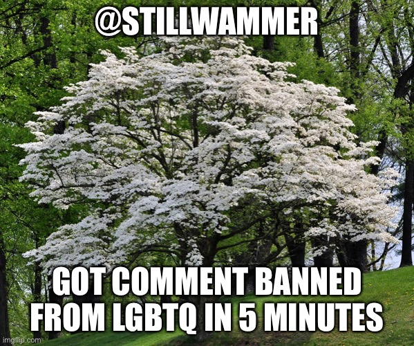 Wammer temp | @STILLWAMMER; GOT COMMENT BANNED FROM LGBTQ IN 5 MINUTES | image tagged in wammer temp | made w/ Imgflip meme maker