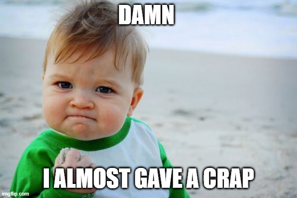 Success Kid Original Meme | DAMN; I ALMOST GAVE A CRAP | image tagged in memes,success kid original | made w/ Imgflip meme maker