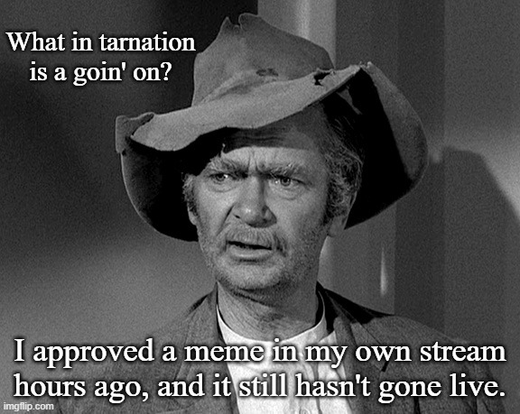 Problem with Approval System? | What in tarnation is a goin' on? I approved a meme in my own stream hours ago, and it still hasn't gone live. | image tagged in jed clampett,imgflip,memes | made w/ Imgflip meme maker