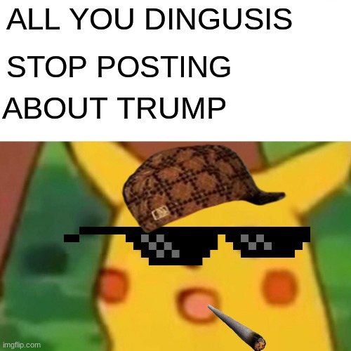 Surprised Pikachu Meme | ALL YOU DINGUSIS STOP POSTING ABOUT TRUMP | image tagged in memes,surprised pikachu | made w/ Imgflip meme maker