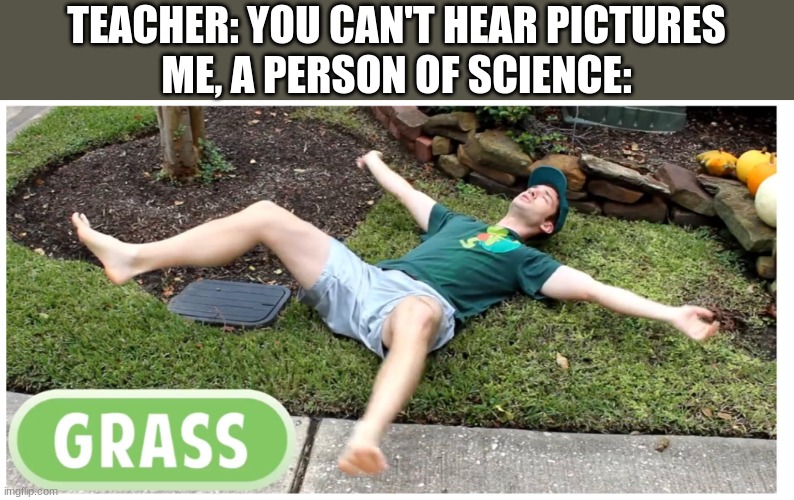 smort |  TEACHER: YOU CAN'T HEAR PICTURES
ME, A PERSON OF SCIENCE: | image tagged in photosynthesis | made w/ Imgflip meme maker