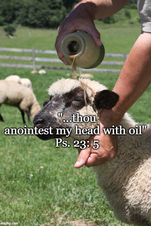 Psalm 23 |  "...thou anointest my head with oil" 
Ps. 23: 5 | image tagged in psalm 23,shepherds and sheep,the christ,the anointed one | made w/ Imgflip meme maker