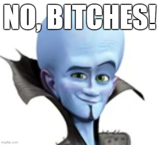 NO, BITCHES! | image tagged in no bitches,smug megamind,memes | made w/ Imgflip meme maker