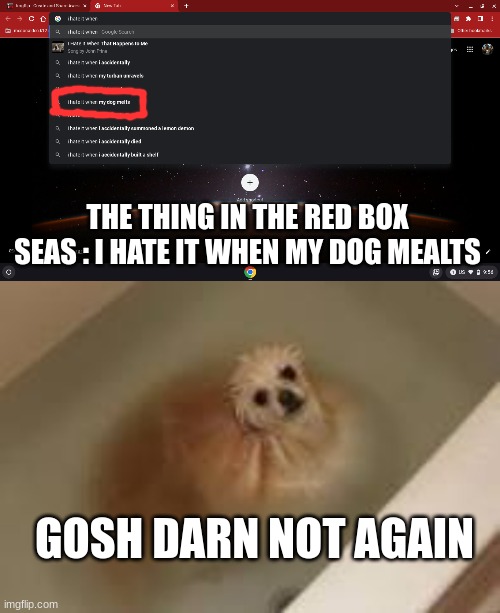 my dog melted again | THE THING IN THE RED BOX SEAS : I HATE IT WHEN MY DOG MEALTS; GOSH DARN NOT AGAIN | image tagged in nooooooooo | made w/ Imgflip meme maker