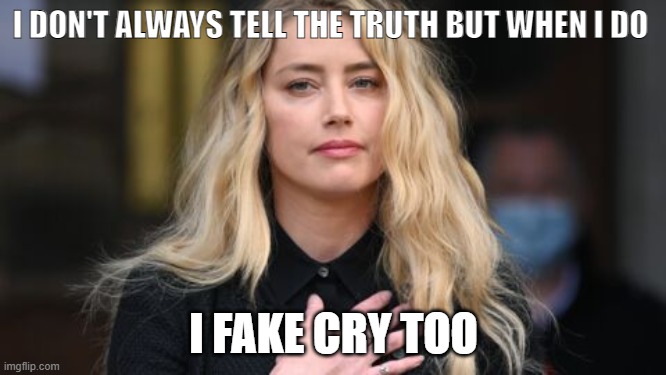 Fake lies | image tagged in amber heard | made w/ Imgflip meme maker