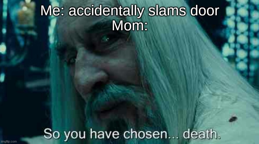 NO it was an accident- | Me: accidentally slams door
Mom: | image tagged in so you have chosen death | made w/ Imgflip meme maker