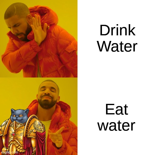 eat water | Drink Water; Eat water | image tagged in memes,drake hotline bling | made w/ Imgflip meme maker