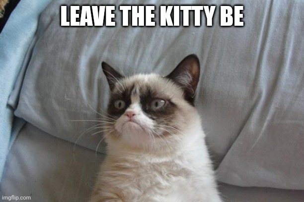 Grumpy Cat Bed Meme | LEAVE THE KITTY BE | image tagged in memes,grumpy cat bed,grumpy cat | made w/ Imgflip meme maker