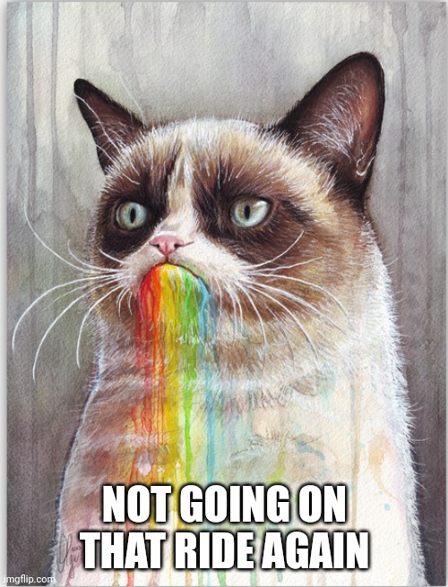 GRUMPY CAT EATS RAINBOWS | NOT GOING ON THAT RIDE AGAIN | image tagged in grumpy cat eats rainbows | made w/ Imgflip meme maker