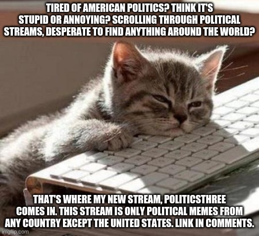 random announcement | TIRED OF AMERICAN POLITICS? THINK IT'S STUPID OR ANNOYING? SCROLLING THROUGH POLITICAL STREAMS, DESPERATE TO FIND ANYTHING AROUND THE WORLD? THAT'S WHERE MY NEW STREAM, POLITICSTHREE COMES IN. THIS STREAM IS ONLY POLITICAL MEMES FROM ANY COUNTRY EXCEPT THE UNITED STATES. LINK IN COMMENTS. | image tagged in tired cat,canada,europe,south america | made w/ Imgflip meme maker