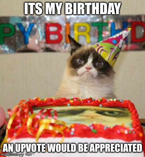 PLZ | ITS MY BIRTHDAY; AN UPVOTE WOULD BE APPRECIATED | image tagged in memes,grumpy cat birthday,grumpy cat | made w/ Imgflip meme maker