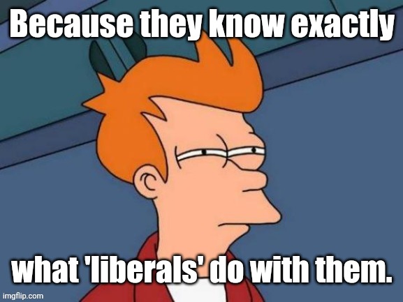 Fry is not sure... | Because they know exactly what 'liberals' do with them. | image tagged in fry is not sure | made w/ Imgflip meme maker