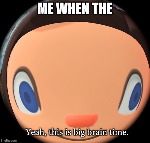 acnh yeah this is big brain time | ME WHEN THE | image tagged in acnh yeah this is big brain time | made w/ Imgflip meme maker